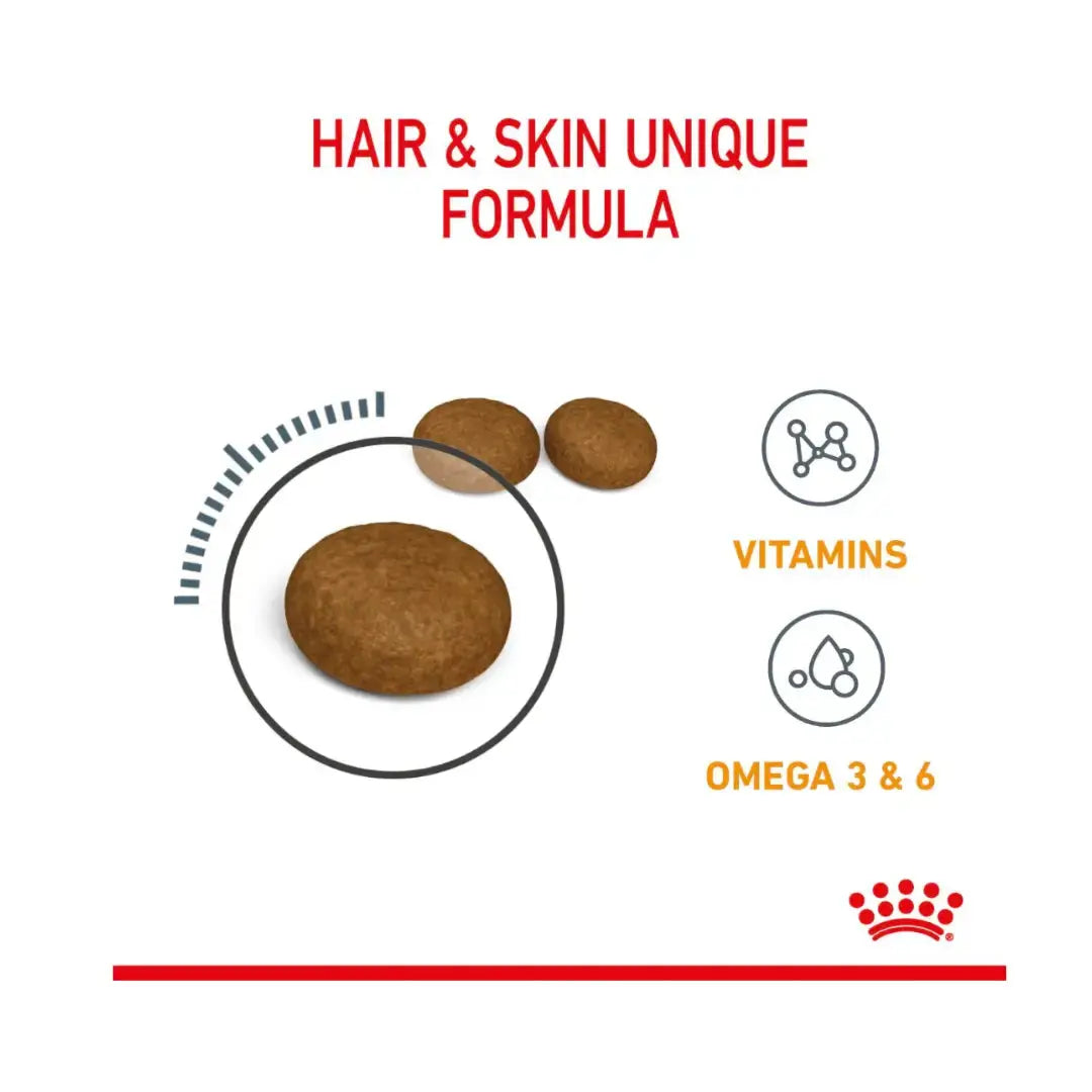 Royal Canin Hair and Skin Care Dry Cat Food   | Canine & Co