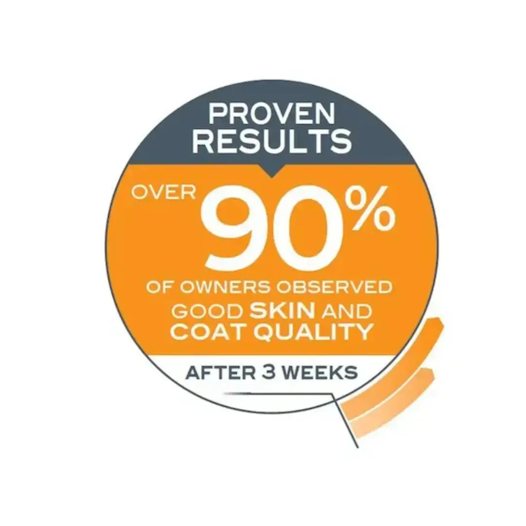 Royal Canin Hair and Skin Care Dry Cat Food   | Canine & Co