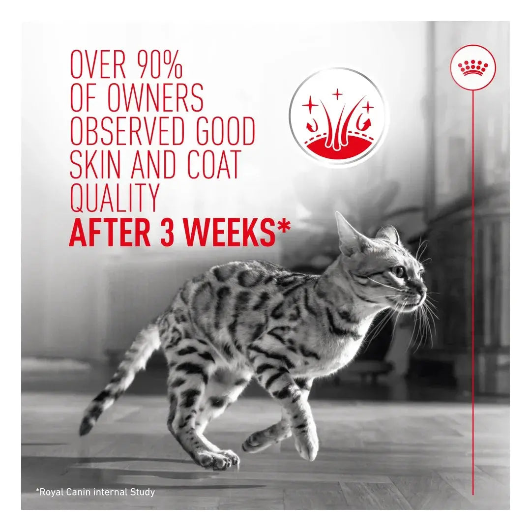 Royal Canin Hair and Skin Care Dry Cat Food