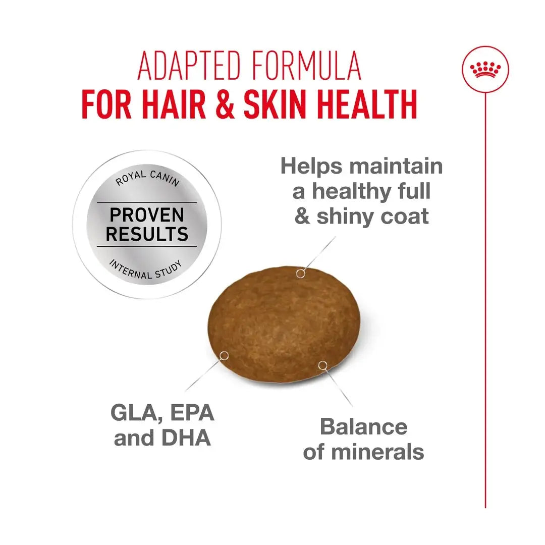 Royal Canin Hair and Skin Care Dry Cat Food