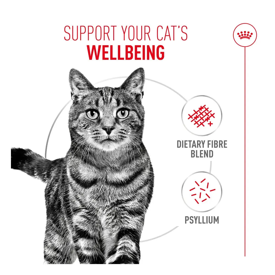 Royal Canin Hairball Care Cat Wet Cat Food Pouch