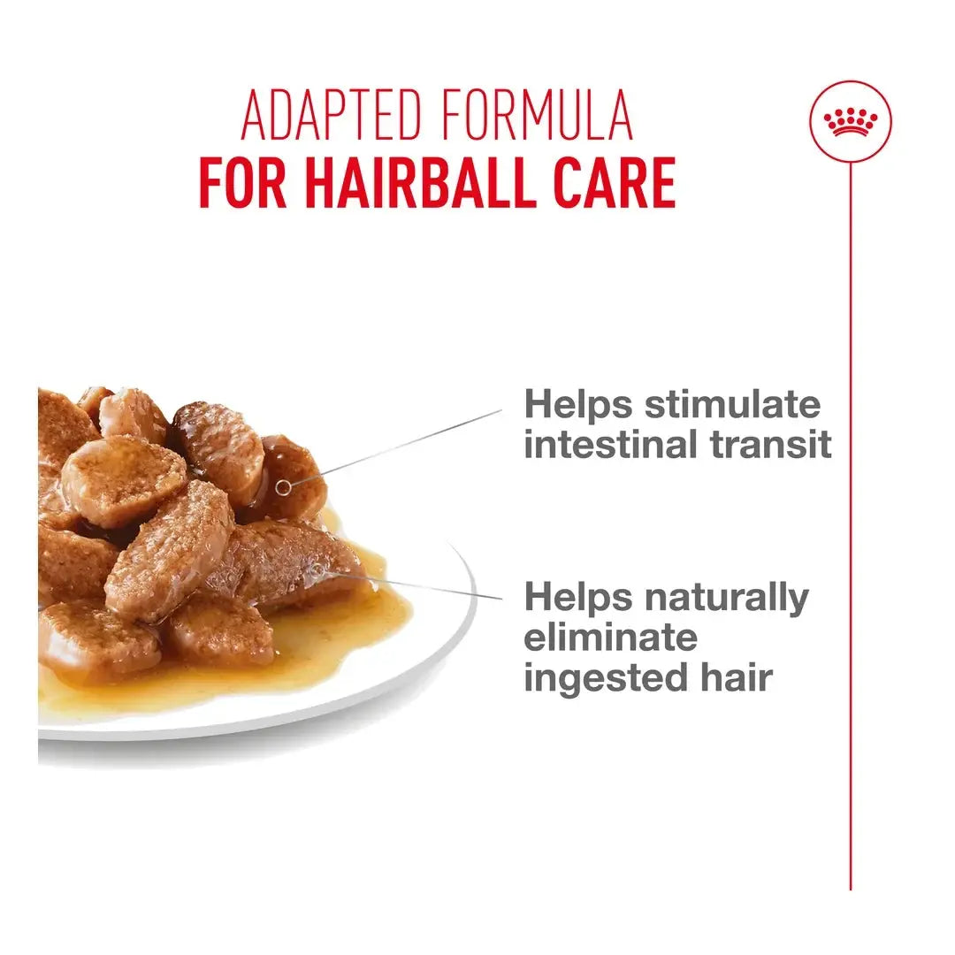 Royal Canin Hairball Care Cat Wet Cat Food Pouch