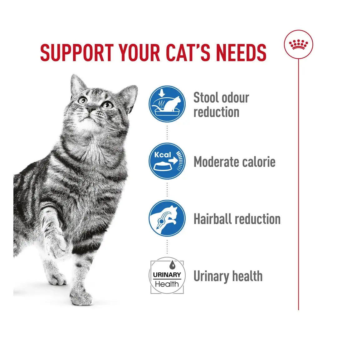 Royal Canin Indoor 27 Dry Cat Food