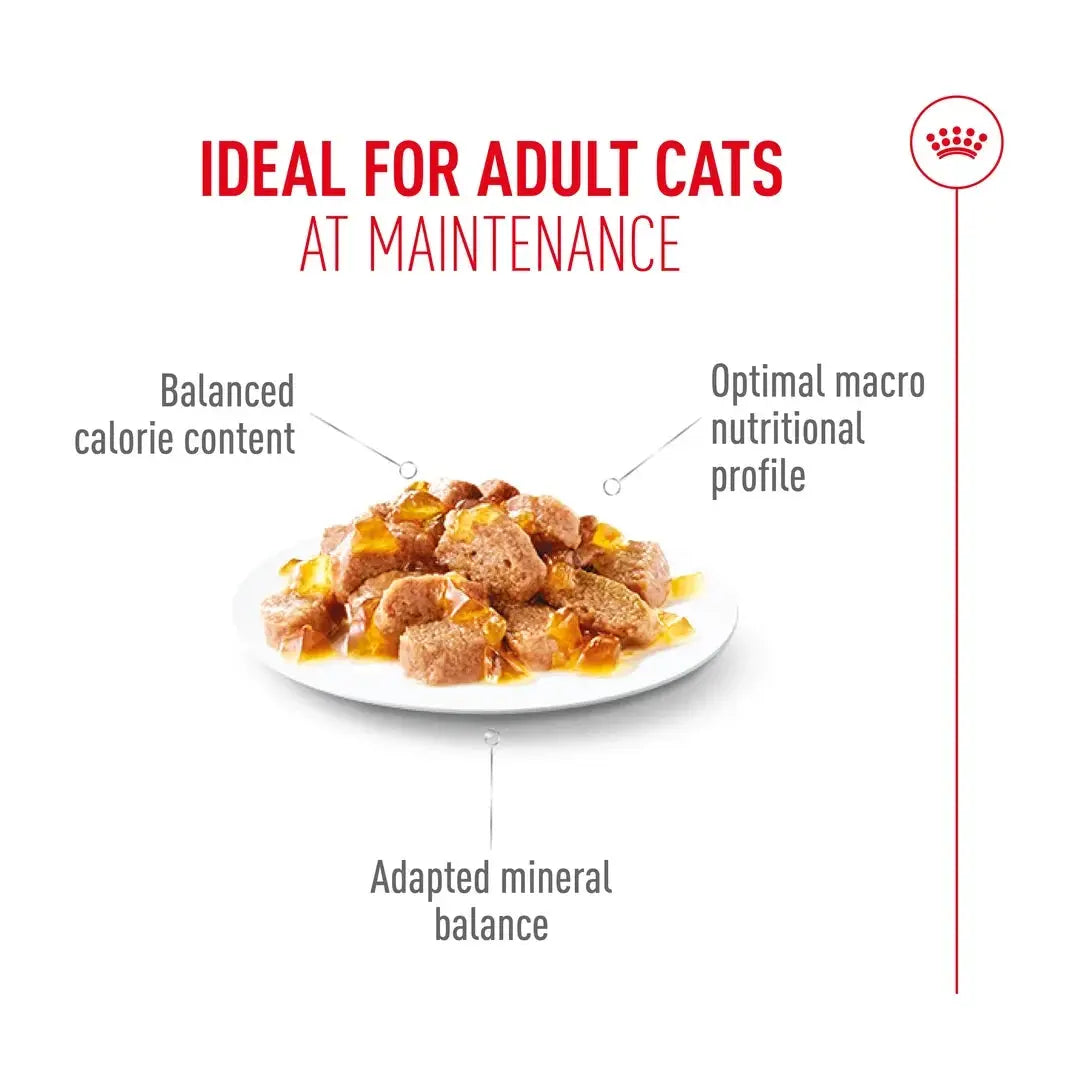 Royal Canin Instinctive Jelly Cat Wet Cat Food Pouch