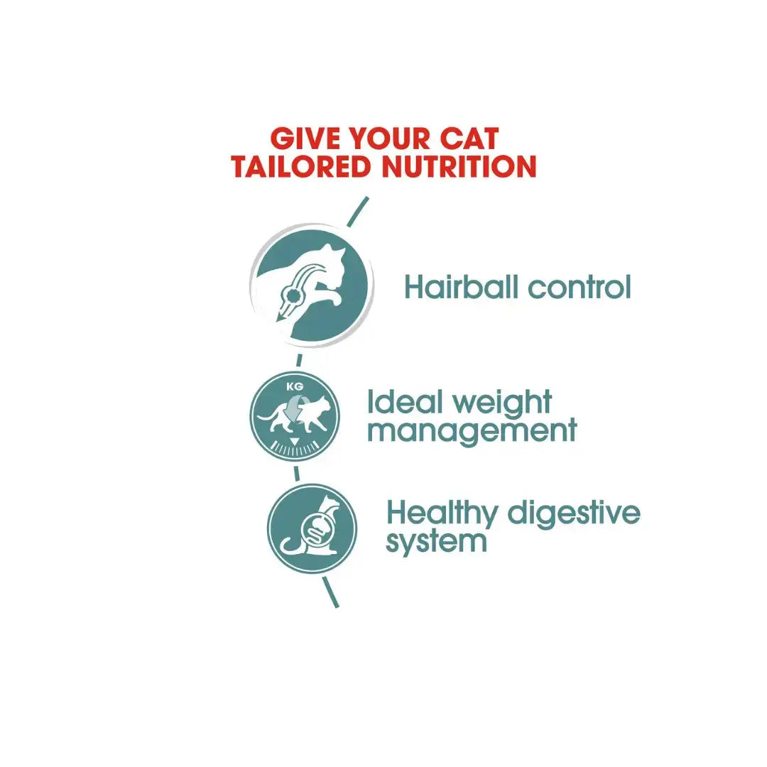 Royal Canin Intense Hairball Care Dry Cat Food   | Canine & Co