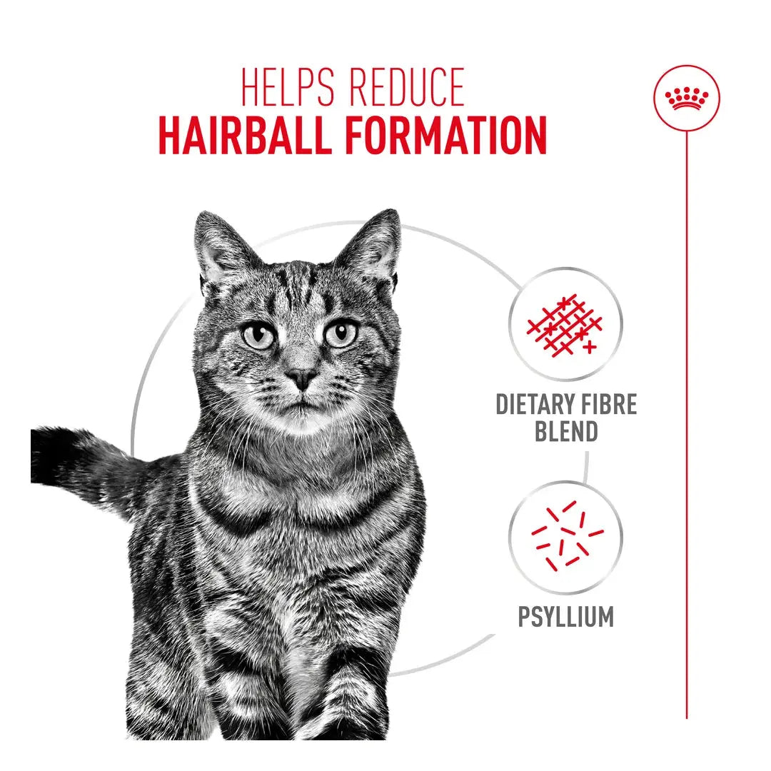 Royal Canin Intense Hairball Care Dry Cat Food