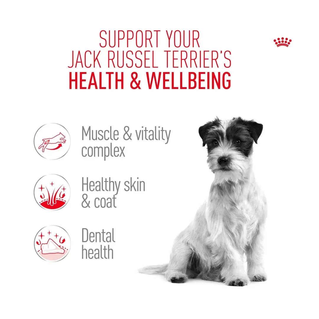 Royal Canin Jack Russell Adult Dry Dog Food