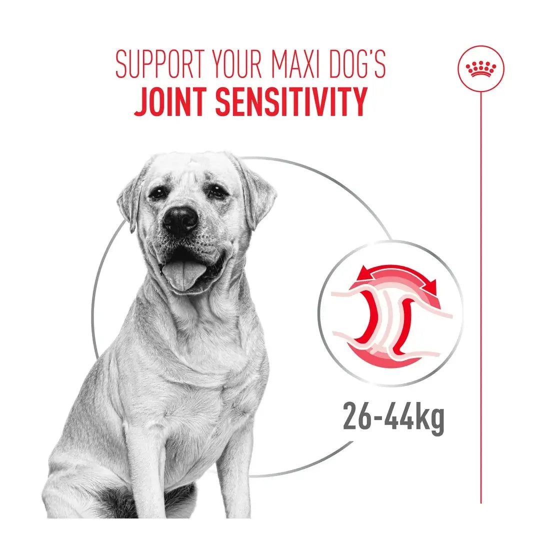 Royal Canin Joint Care Maxi Dry Dog Food