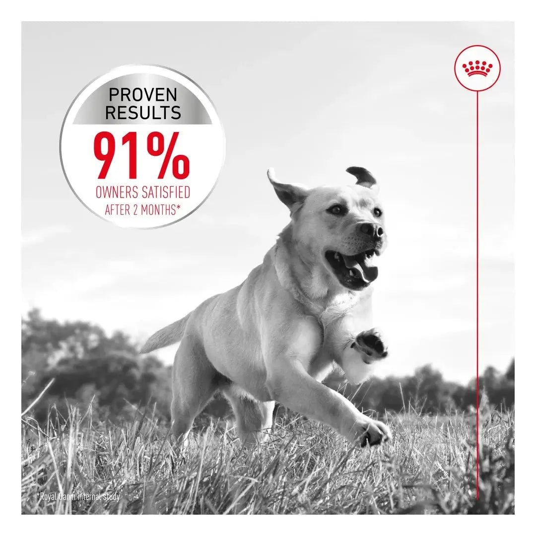 Royal Canin Joint Care Maxi Dry Dog Food