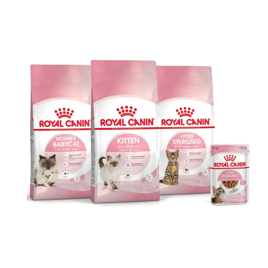 Royal Canin Sterilised Kitten Dry Cat Food   | Canine & Co