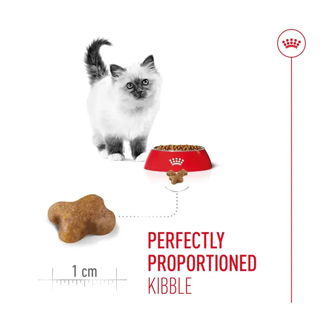 Royal Canin Kitten Dry Cat Food