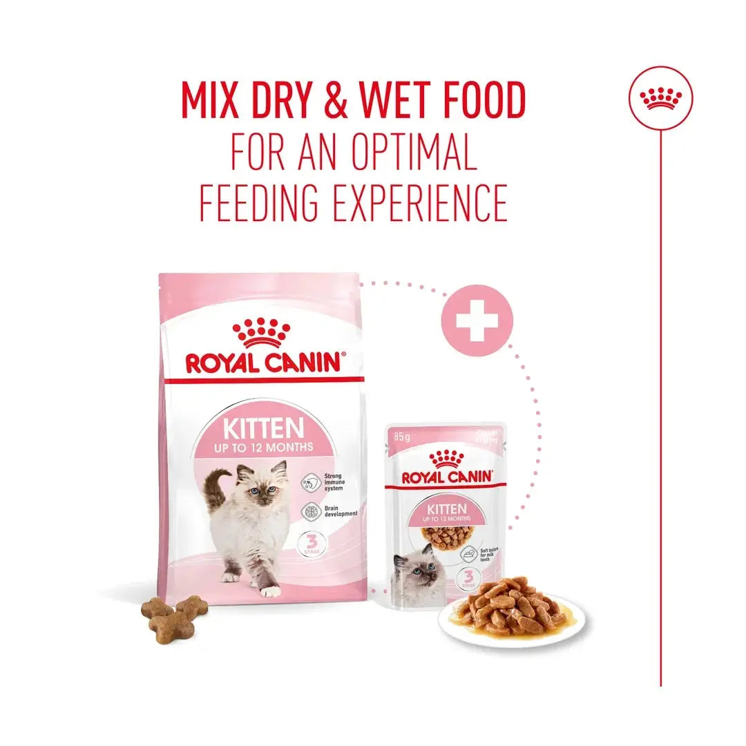 Royal Canin Kitten Dry Cat Food