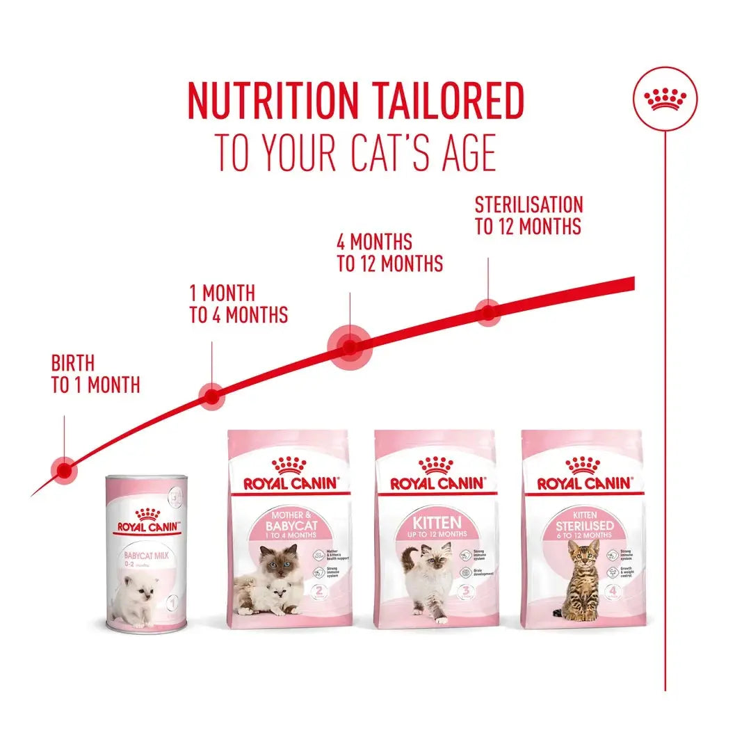 Royal Canin Kitten Dry Cat Food