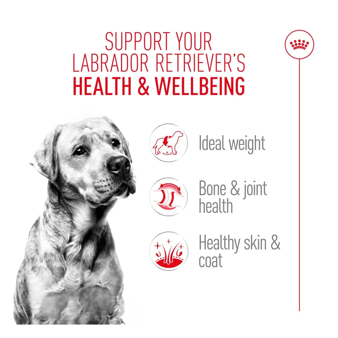 Royal Canin Labrador Retriever Adult Dry Dog Food
