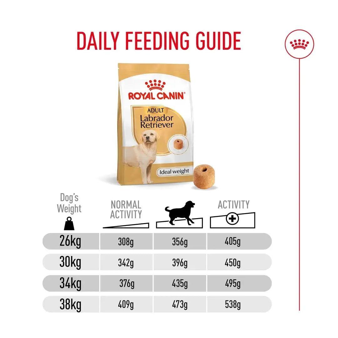 Royal Canin Labrador Retriever Adult Dry Dog Food