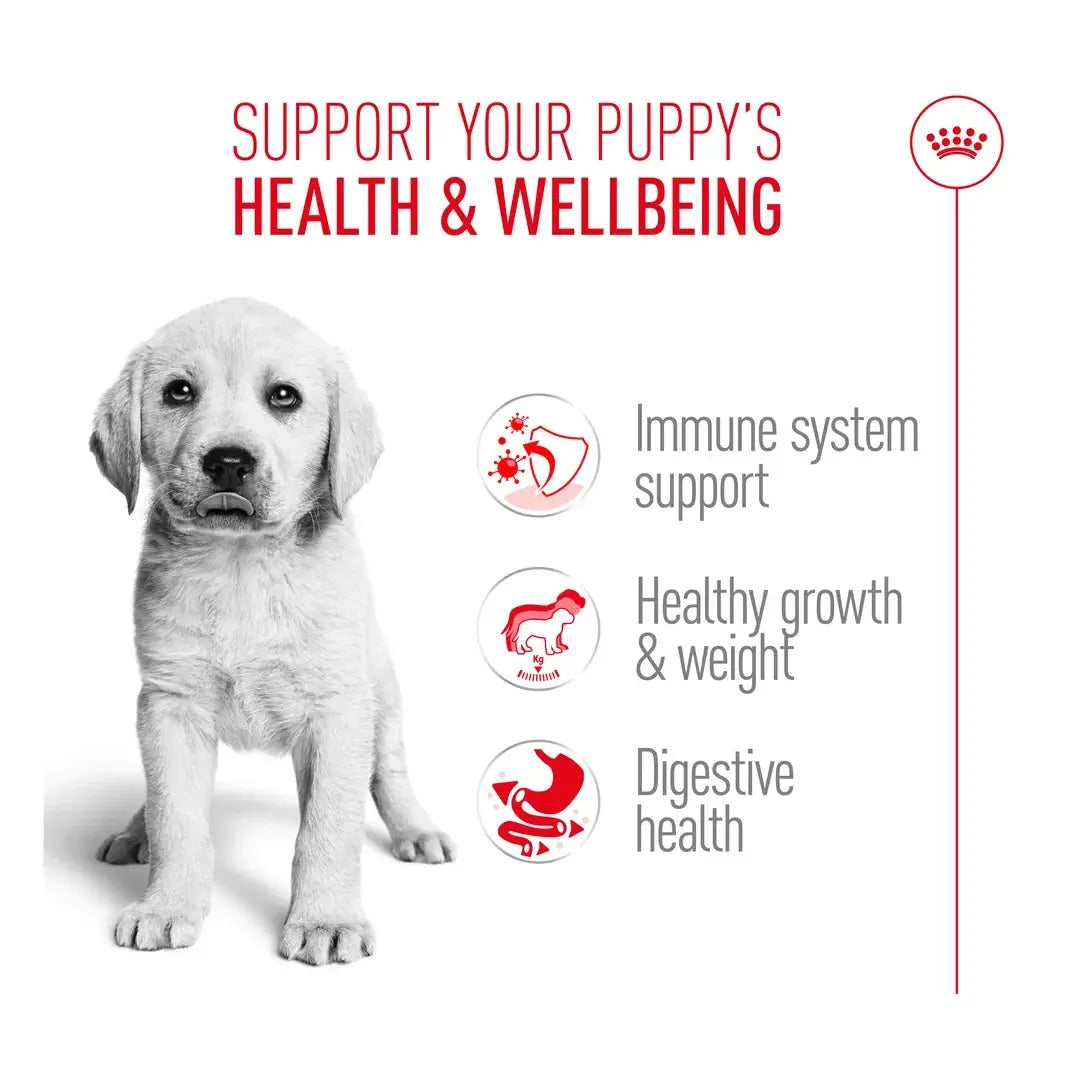 Royal Canin Labrador Retriever Puppy Dry Dog Food