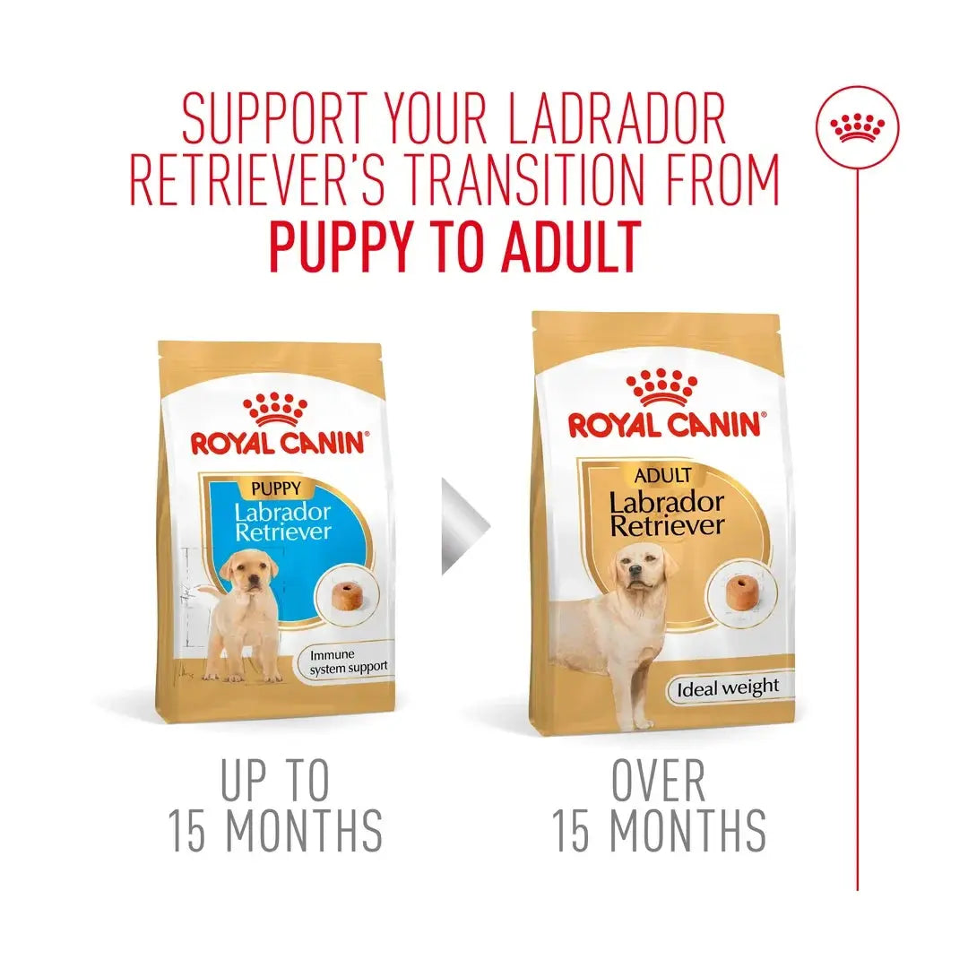 Royal Canin Labrador Retriever Puppy Dry Dog Food
