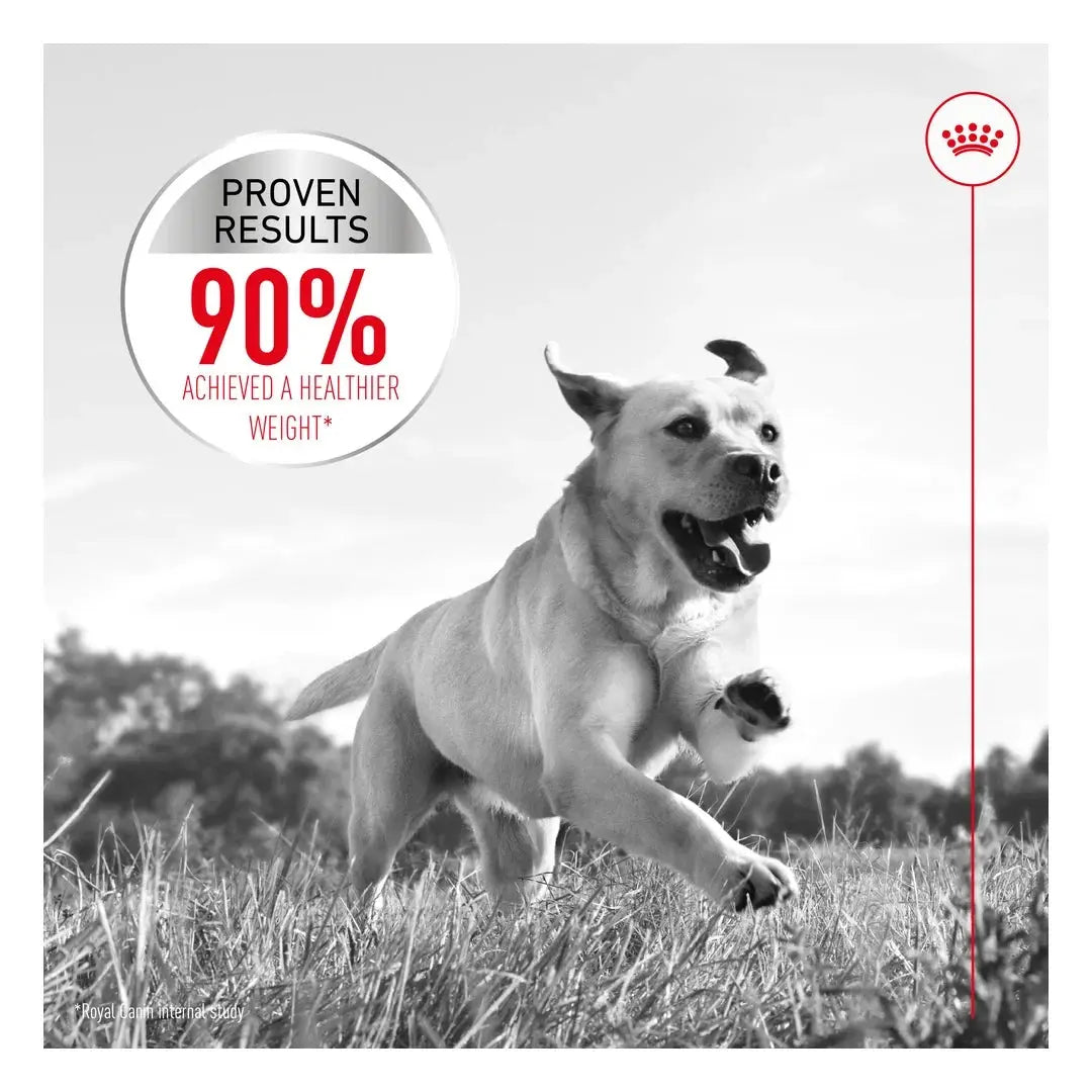 Royal Canin Light Weight Care Maxi Dry Dog Food
