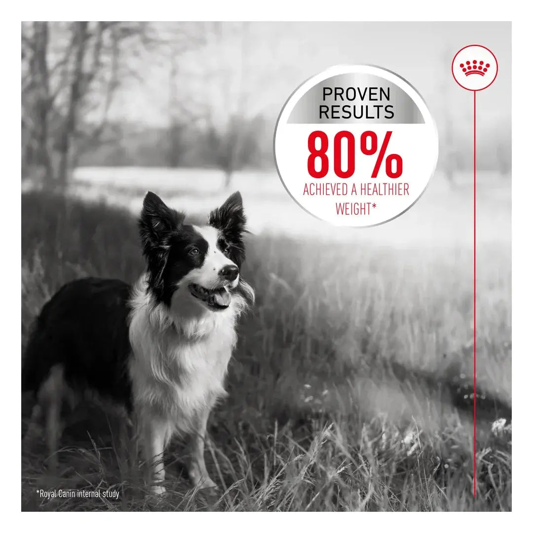 Royal Canin Light Weight Care Medium Dry Dog Food