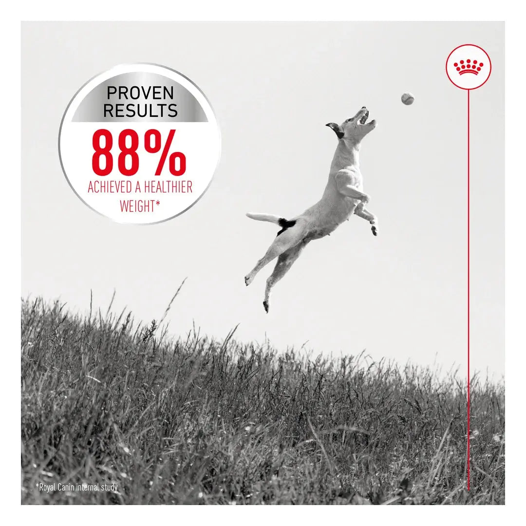 Royal Canin Light Weight Care Mini Dry Dog Food