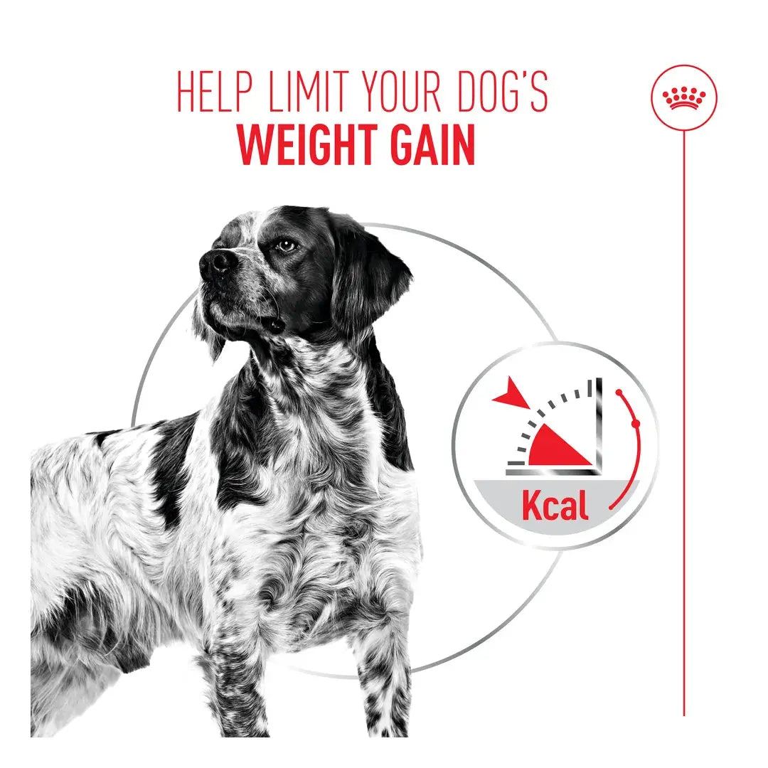 Royal Canin Light Weight Care Wet Dog Food