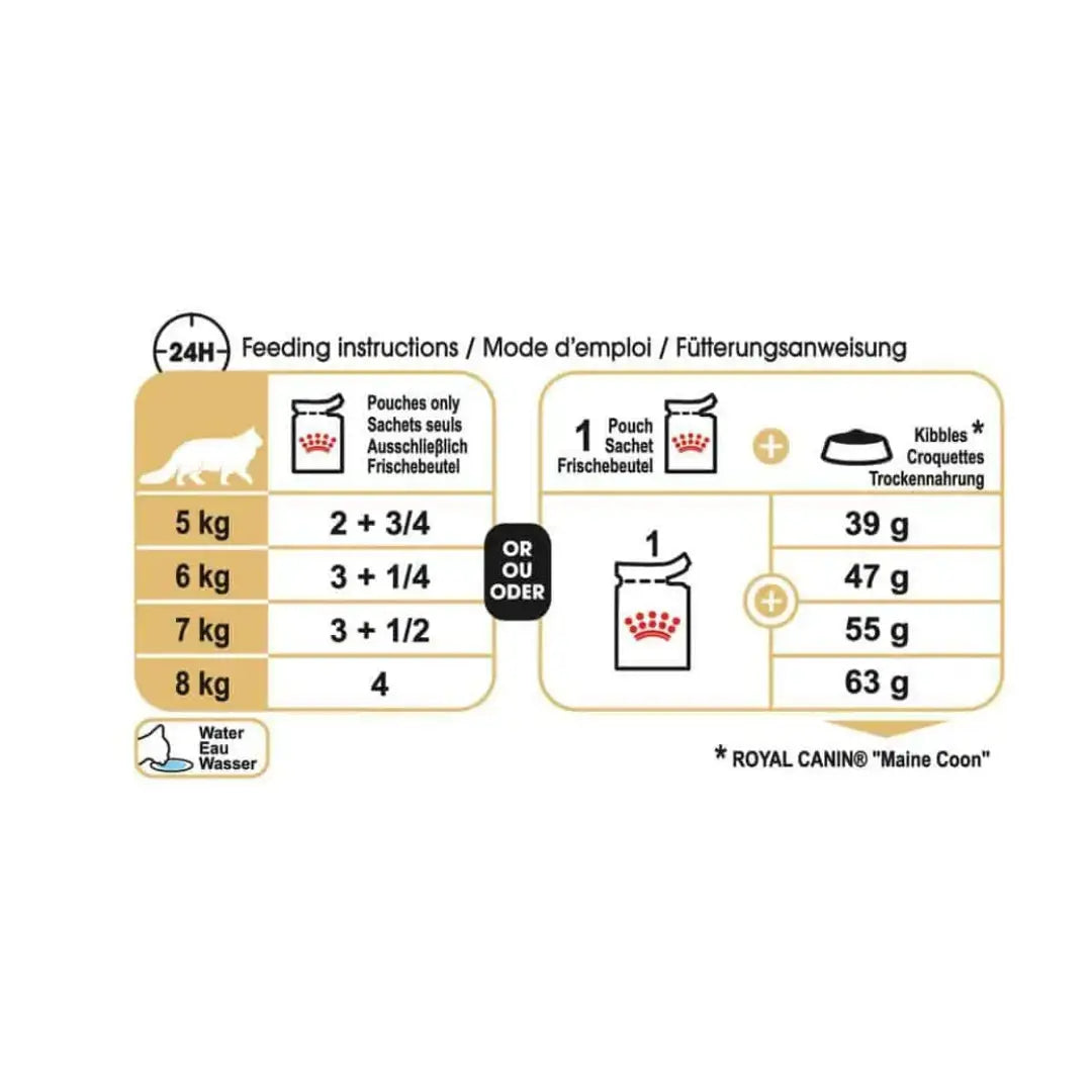 Royal Canin Maine Coon Adult Cat Wet Cat Food Pouch   | Canine & Co