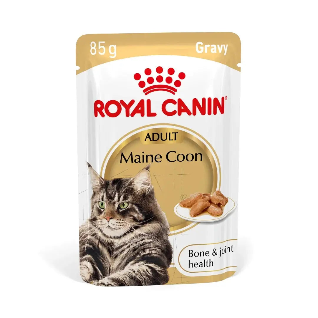 Royal Canin Maine Coon Adult Wet Cat Food