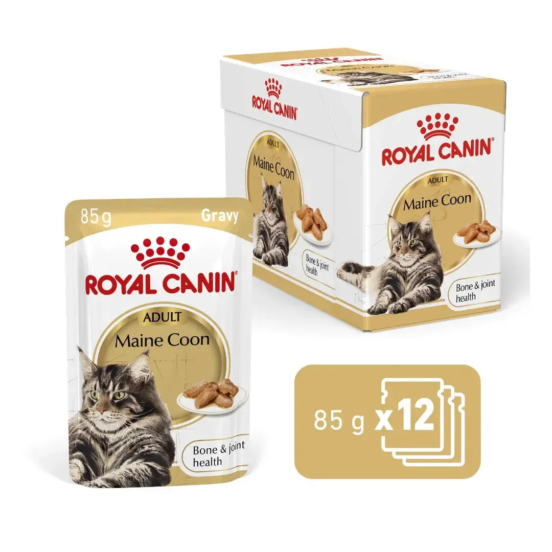 Royal Canin Maine Coon Adult Wet Cat Food