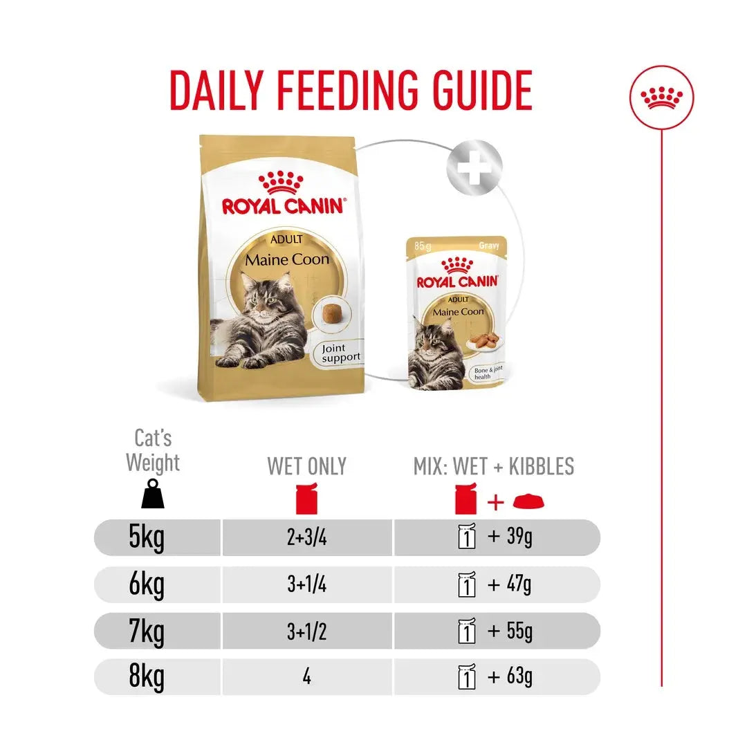 Royal Canin Maine Coon Adult Wet Cat Food