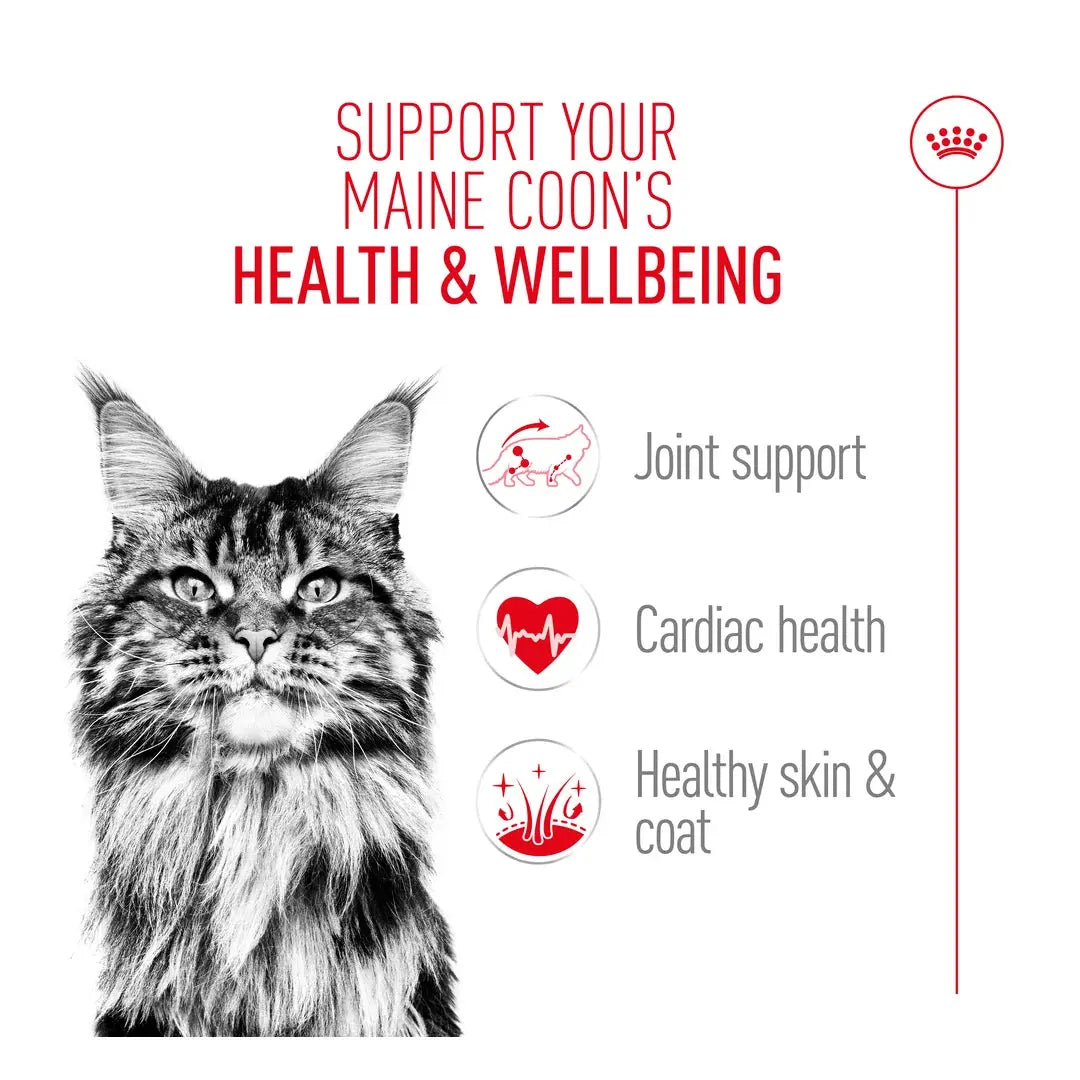 Royal Canin Maine Coon Dry Cat Food