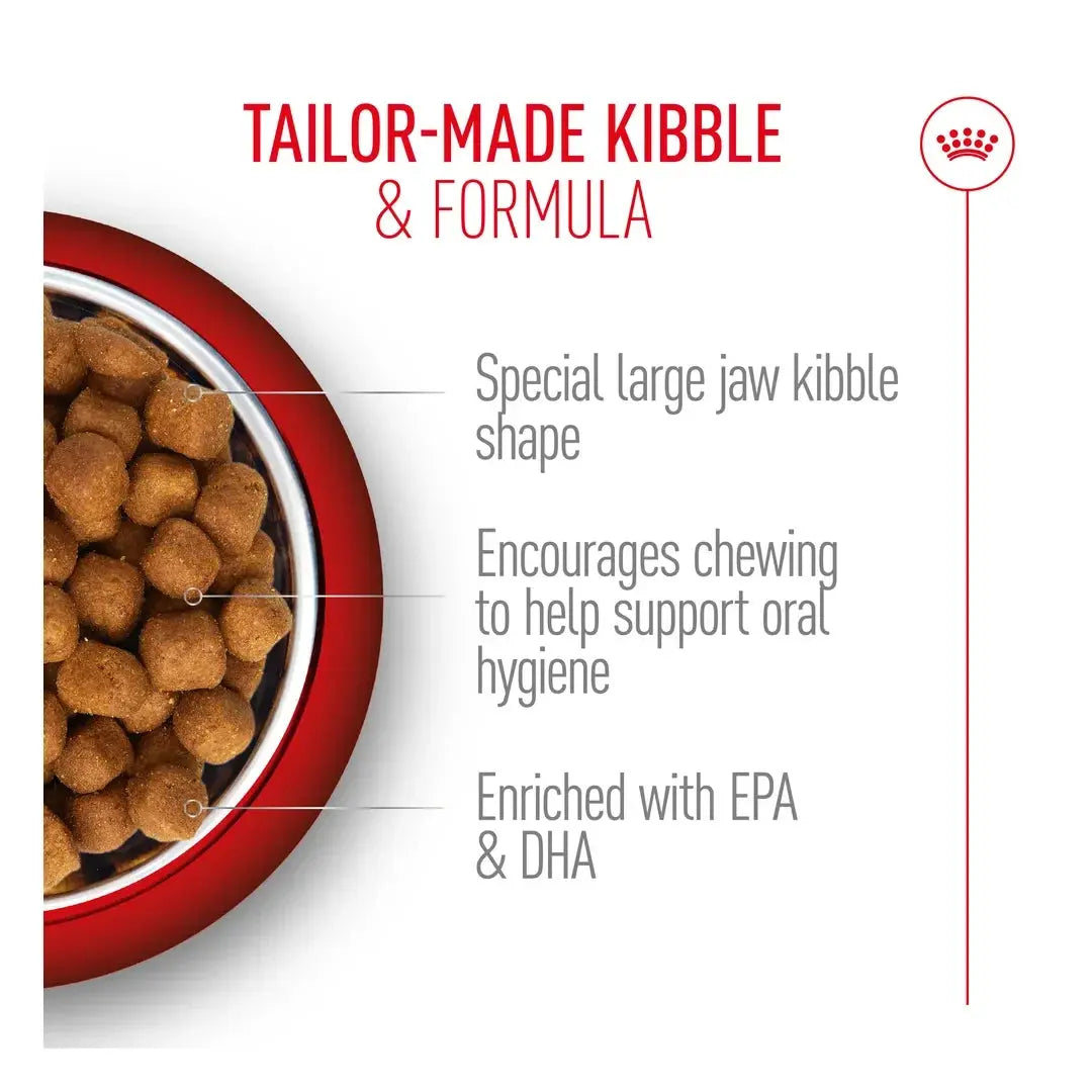 Royal Canin Maine Coon Dry Cat Food