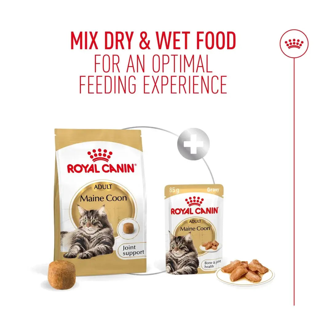 Royal Canin Maine Coon Dry Cat Food