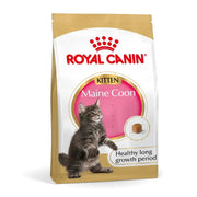 Royal Canin Maine Coon Kitten Dry Cat Food