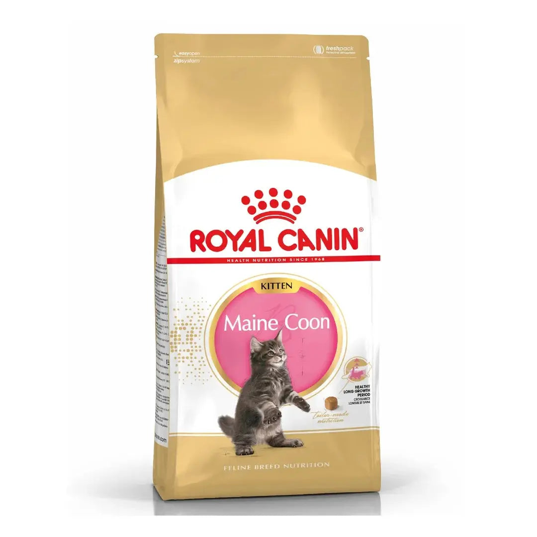 Royal Canin Maine Coon Kitten Dry Cat Food