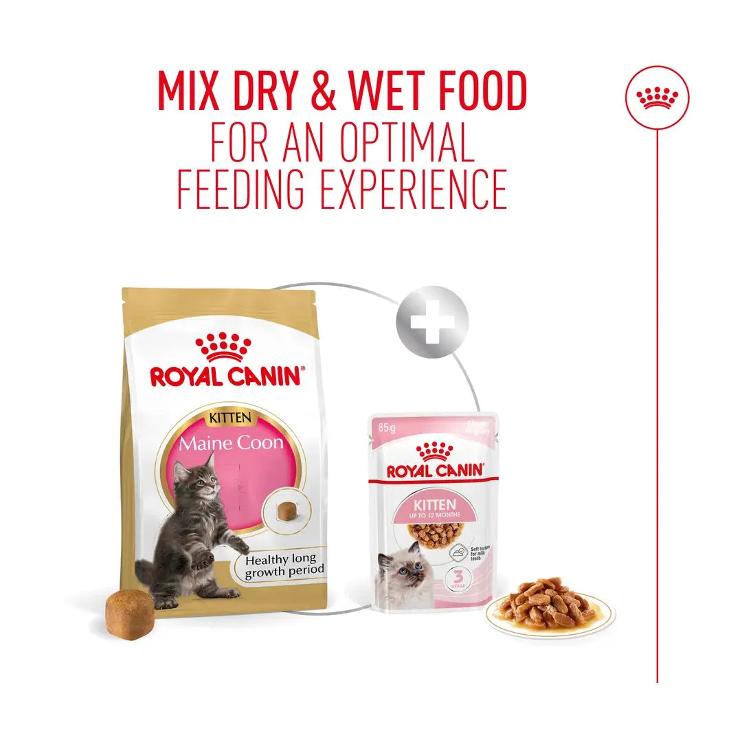 Royal Canin Maine Coon Kitten Dry Cat Food