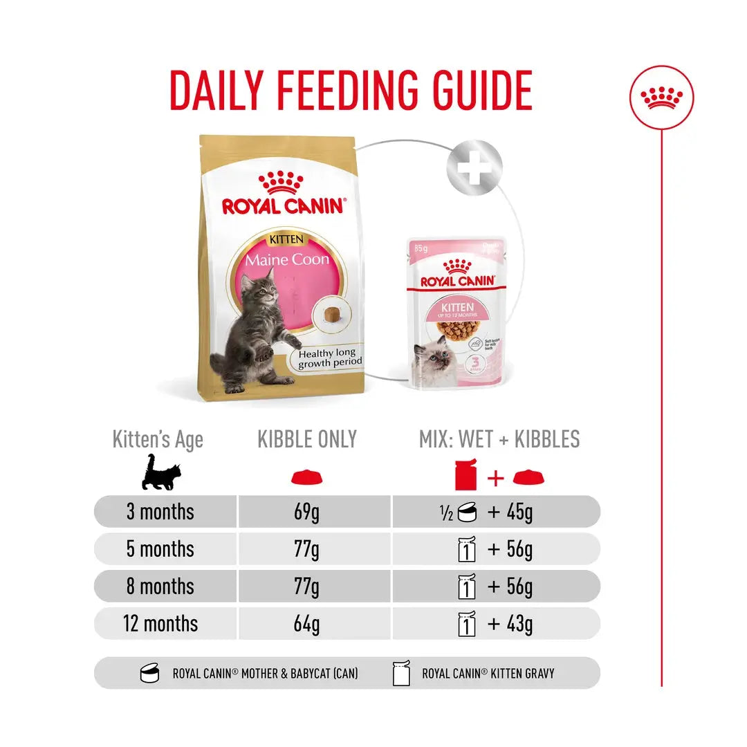 Royal Canin Maine Coon Kitten Dry Cat Food
