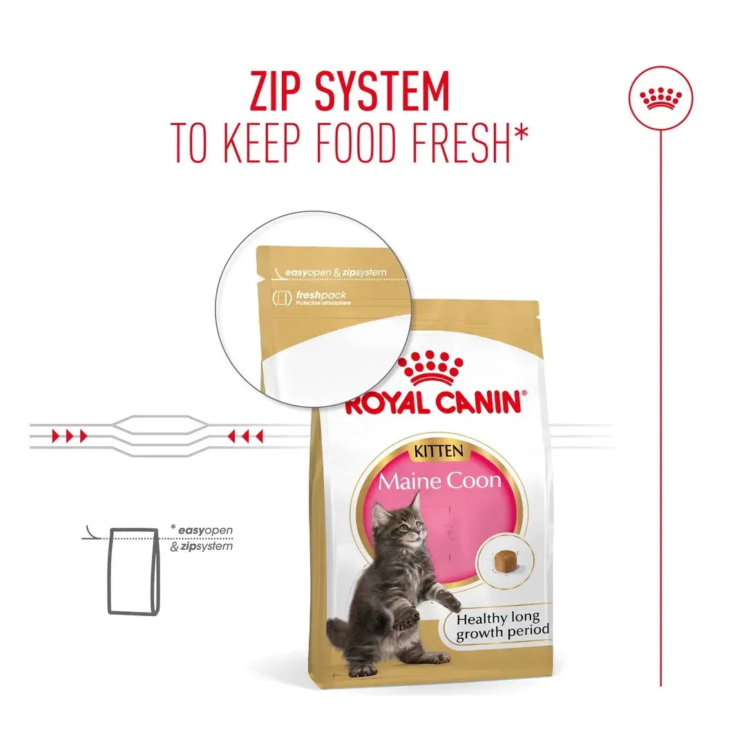 Royal Canin Maine Coon Kitten Dry Cat Food