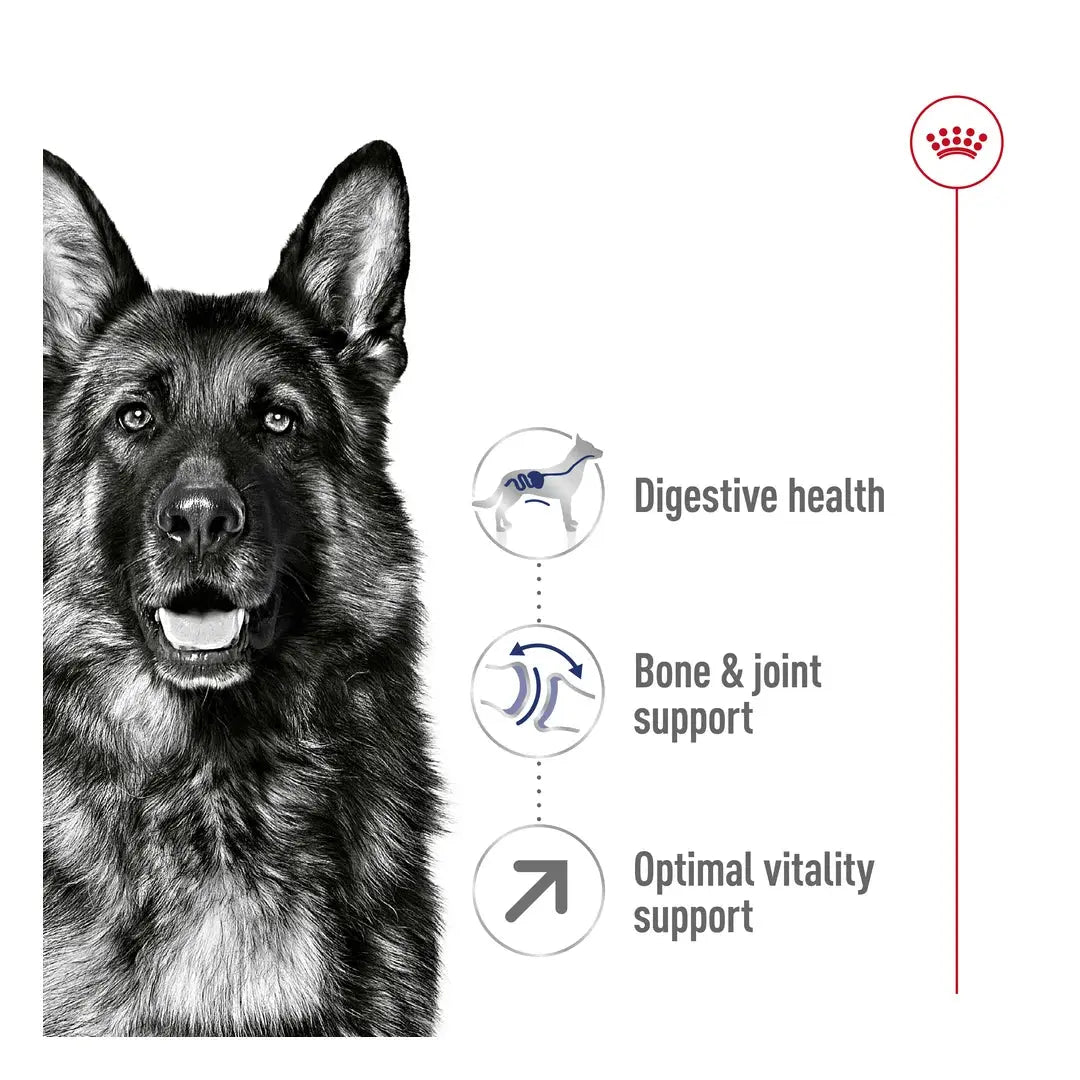 Royal Canin Maxi Adult Dog 5+ Dry Dog Food