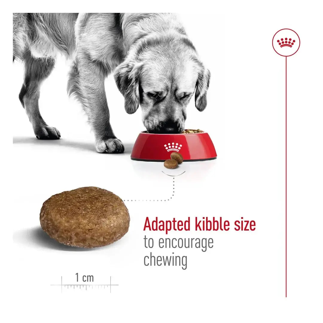 Royal Canin Maxi Adult Dog 5+ Dry Dog Food