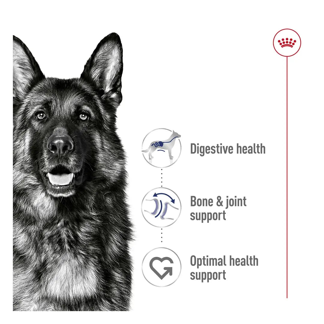 Royal Canin Maxi Adult Dry Dog Food
