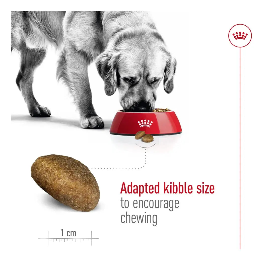 Royal Canin Maxi Adult Dry Dog Food