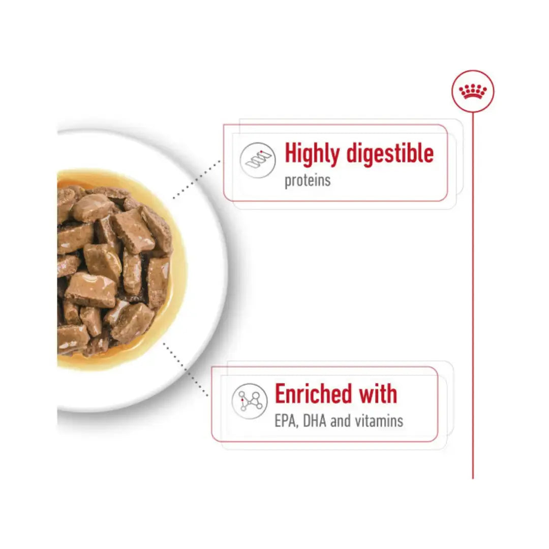 Royal Canin Maxi Adult Wet Dog Food Pouch   | Canine & Co