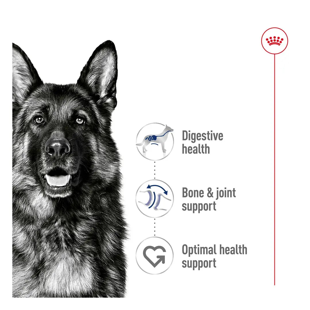 Royal Canin Maxi Adult Wet Dog Food Pouch