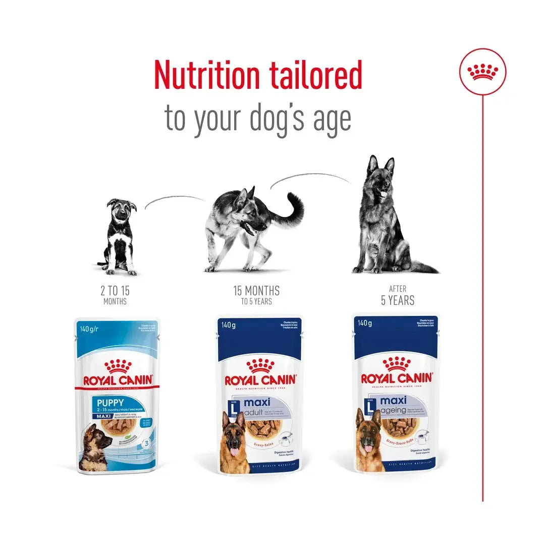 Royal Canin Maxi Adult Wet Dog Food Pouch