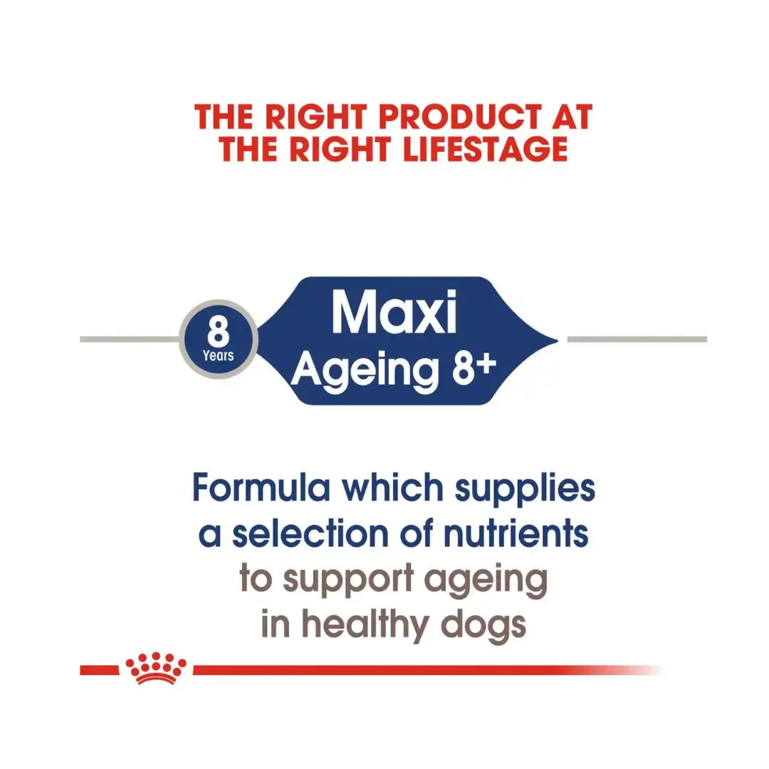 Royal Canin Maxi Ageing 8+ Wet Dog Food Pouch   | Canine & Co