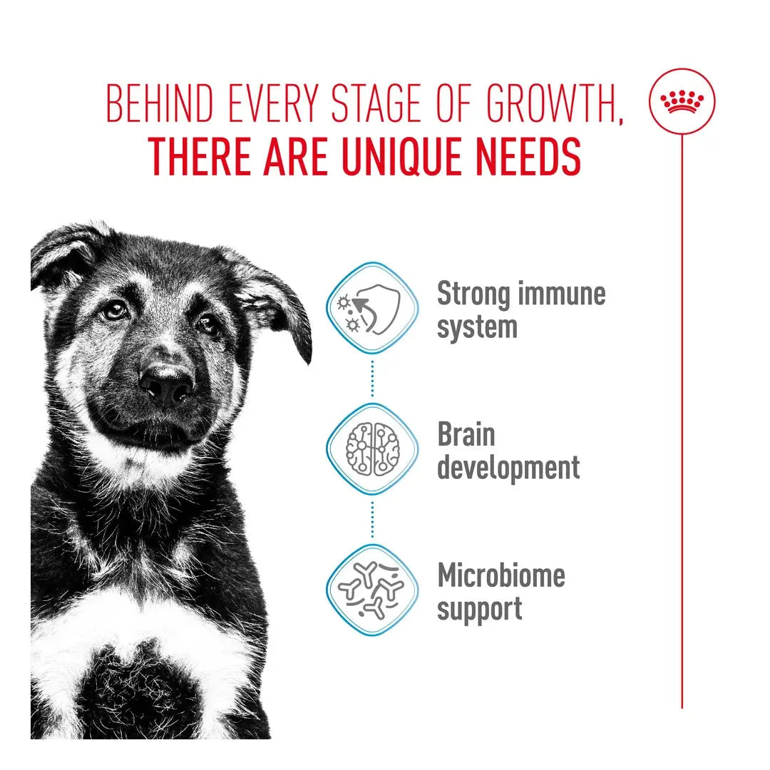 Royal Canin Maxi Puppy Food
