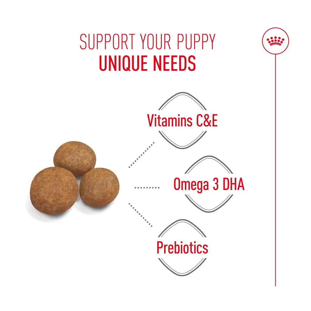Royal Canin Maxi Puppy Food