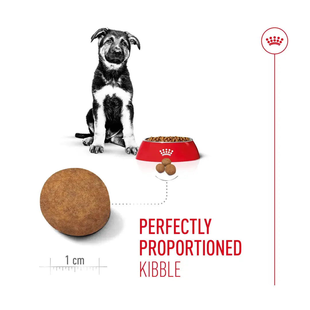 Royal Canin Maxi Puppy Food