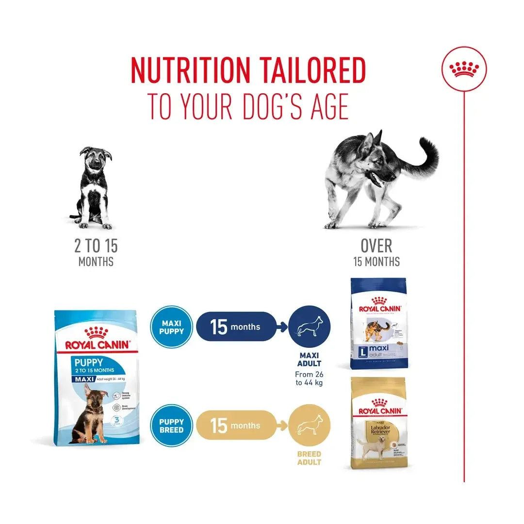 Royal Canin Maxi Puppy Food