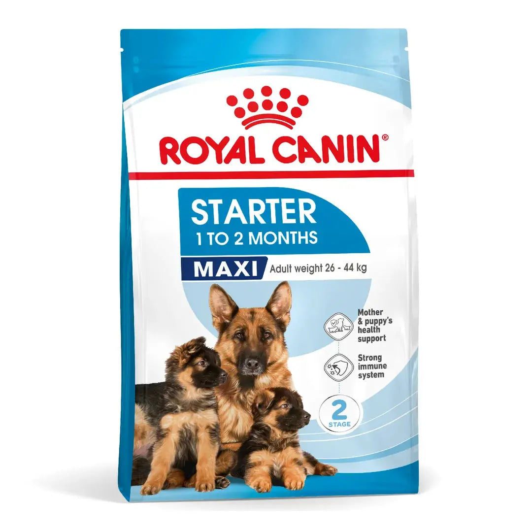 Royal Canin Maxi Starter Mother & Baby Dry Dog Food